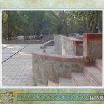 پارک-جنگلی-پردیسان-قائم-کرمان-کرمان-05
