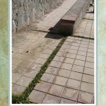 پارک-جنگلی-پردیسان-قائم-کرمان-کرمان-13